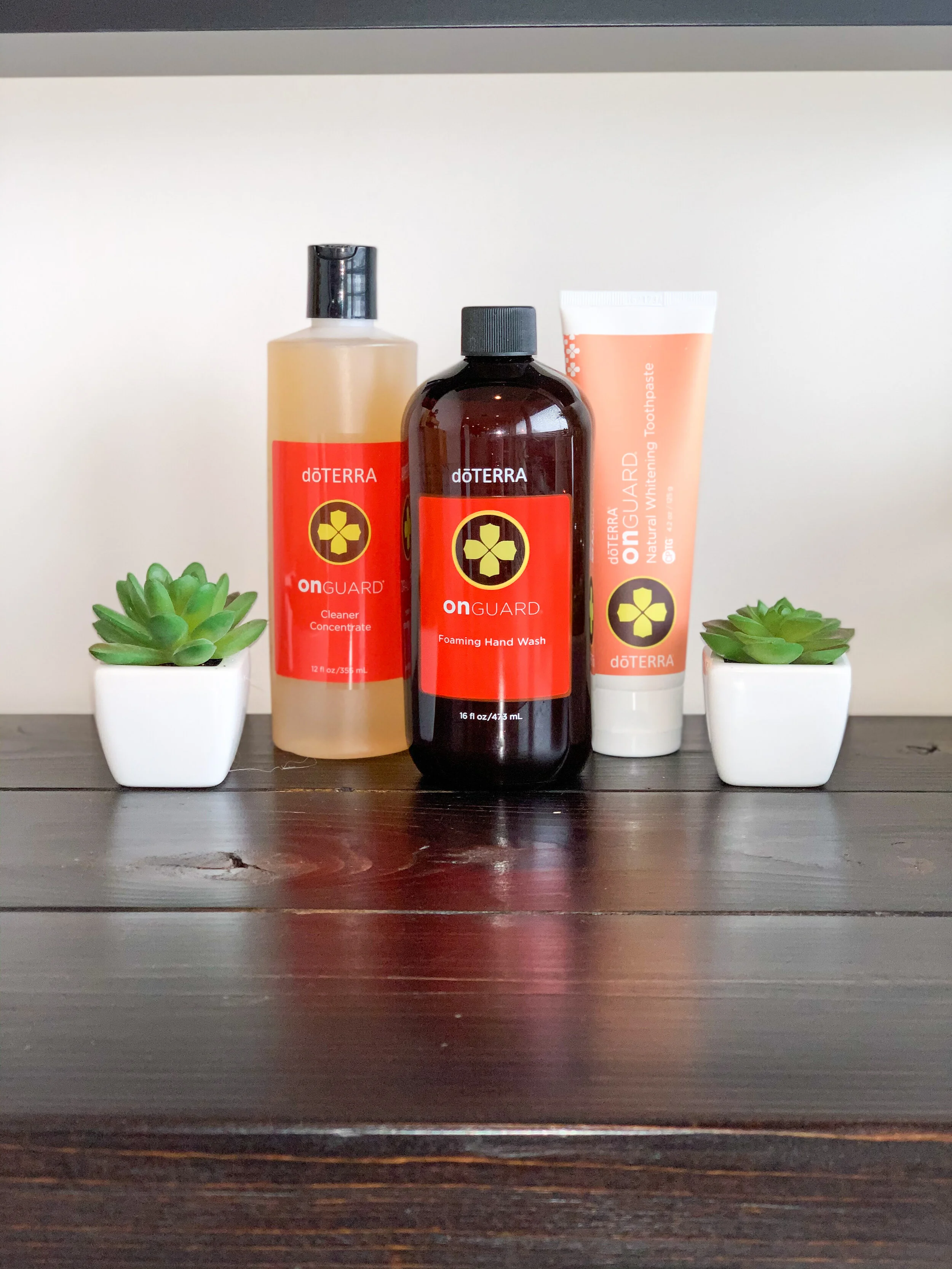 On Guard DIY Cleaning Products