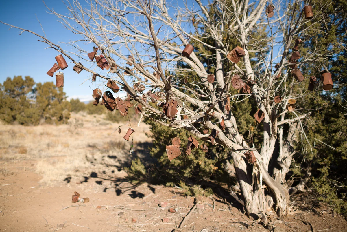 DSC_1146.jpg