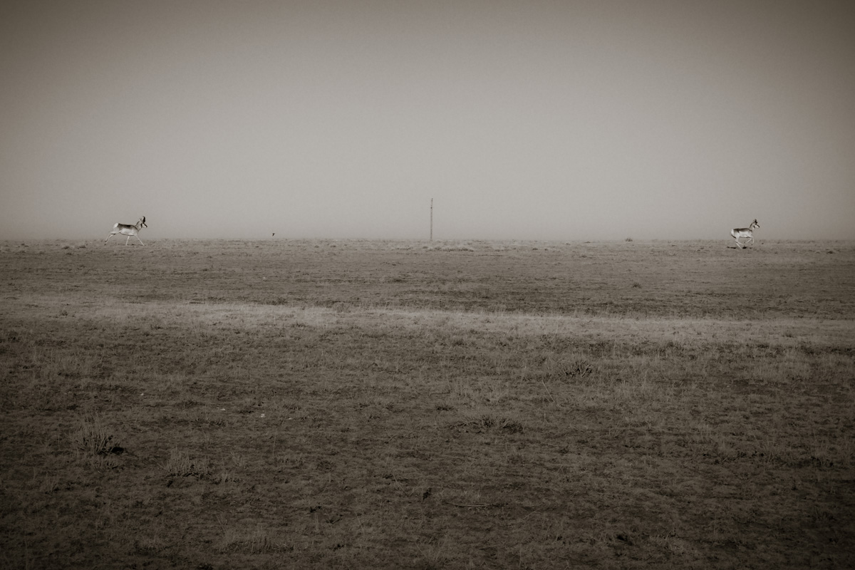 _DSF0620.jpg