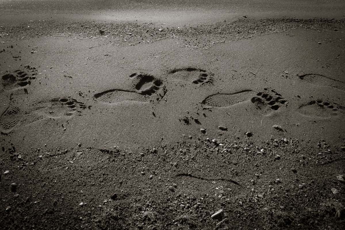 _DSF0768.jpg