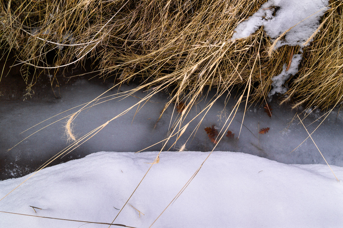 G4LL0947.jpg