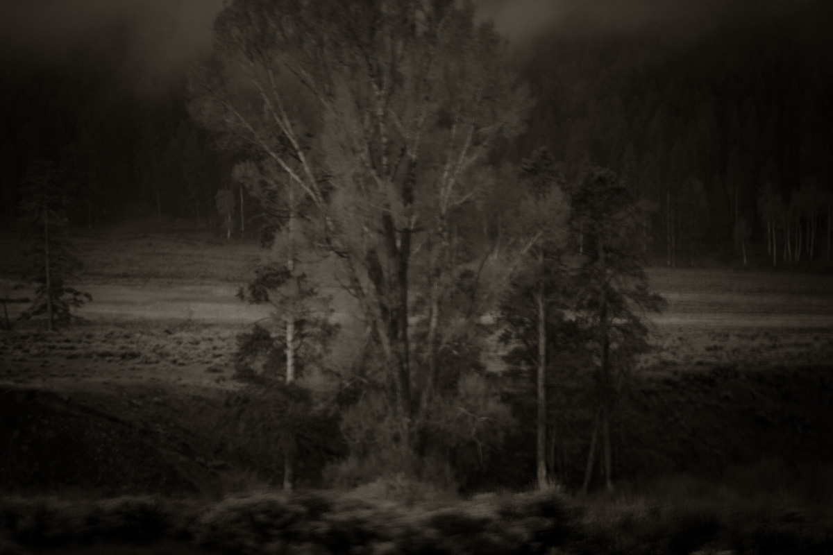 G4LL9077.jpg