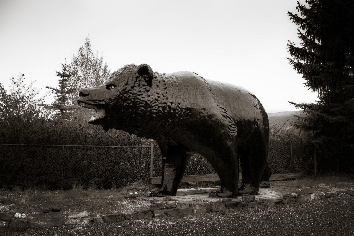 G4LL9369.jpg
