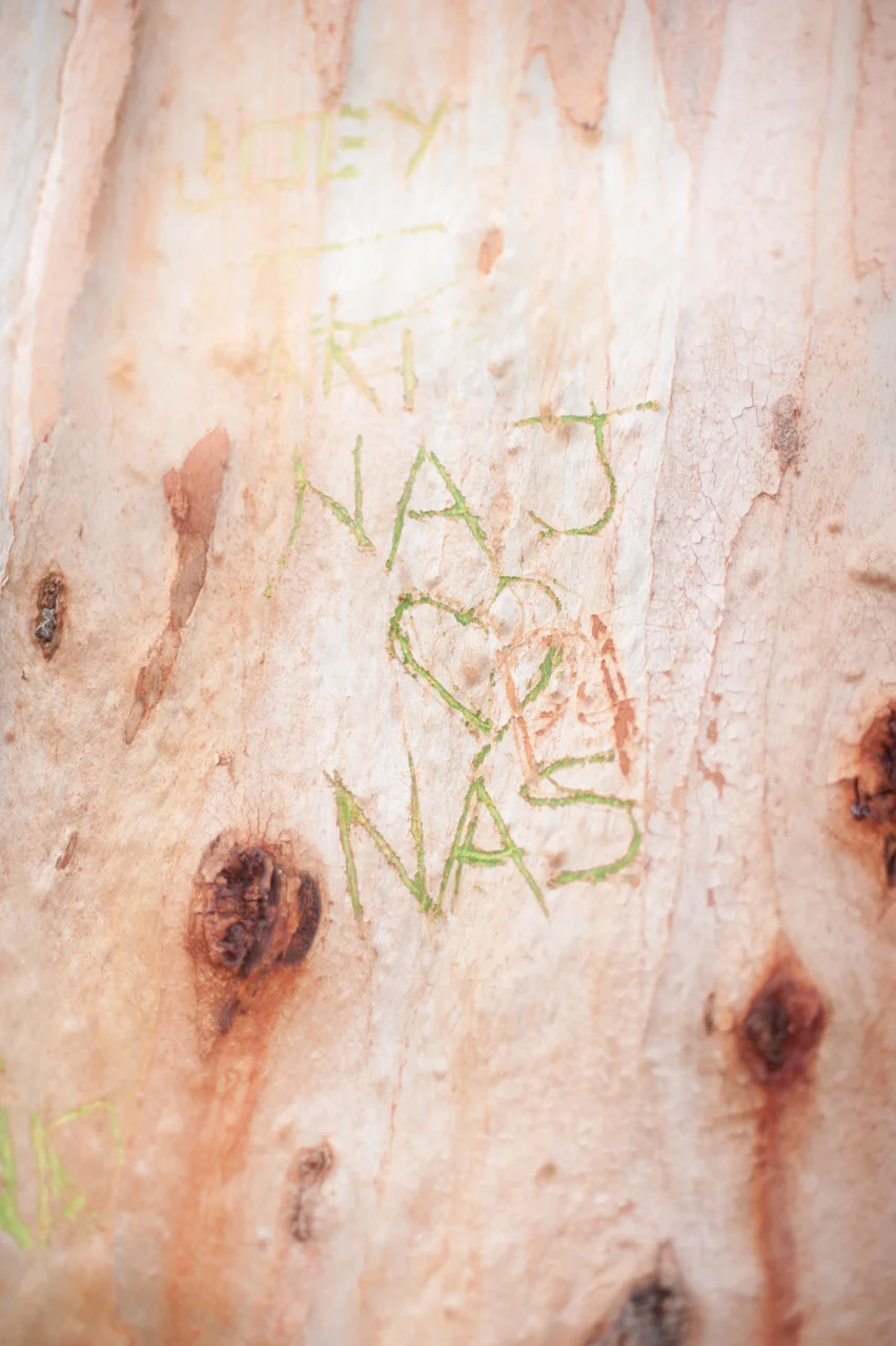 nadia-nas-001-_CWF2941.jpg
