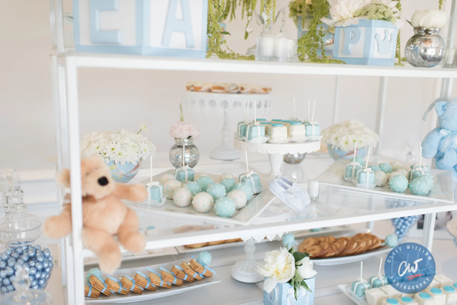 ashleys-baby-shower-001-_CW10738-edits-cliff-william-photography.jpg