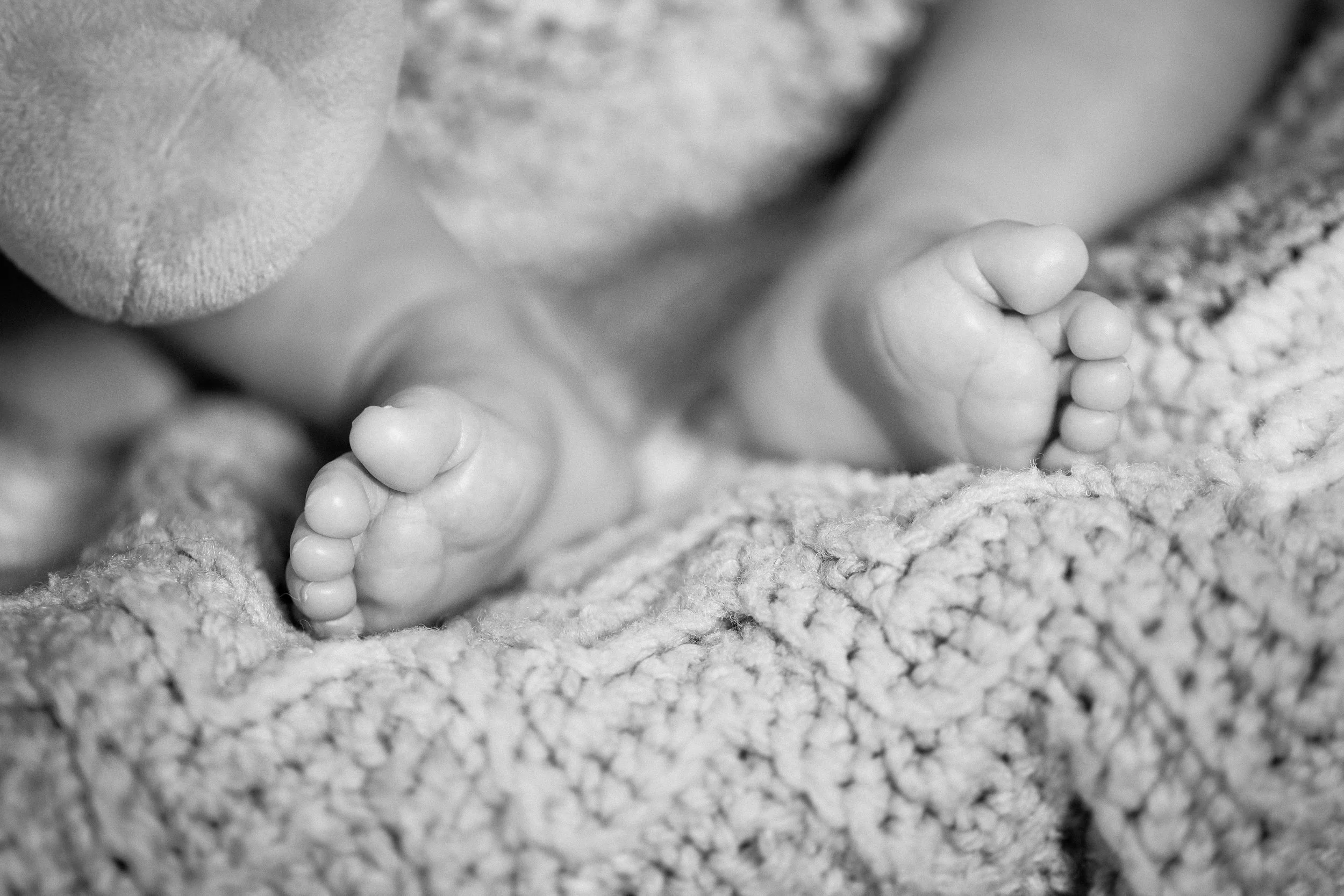 2017-08-05 16.51.36 208.jpg