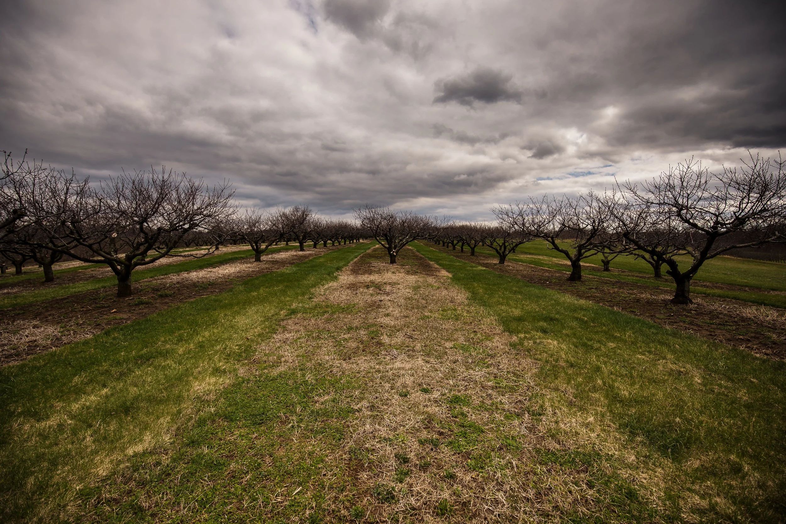 2017-04-05 12.14.55-2.jpg