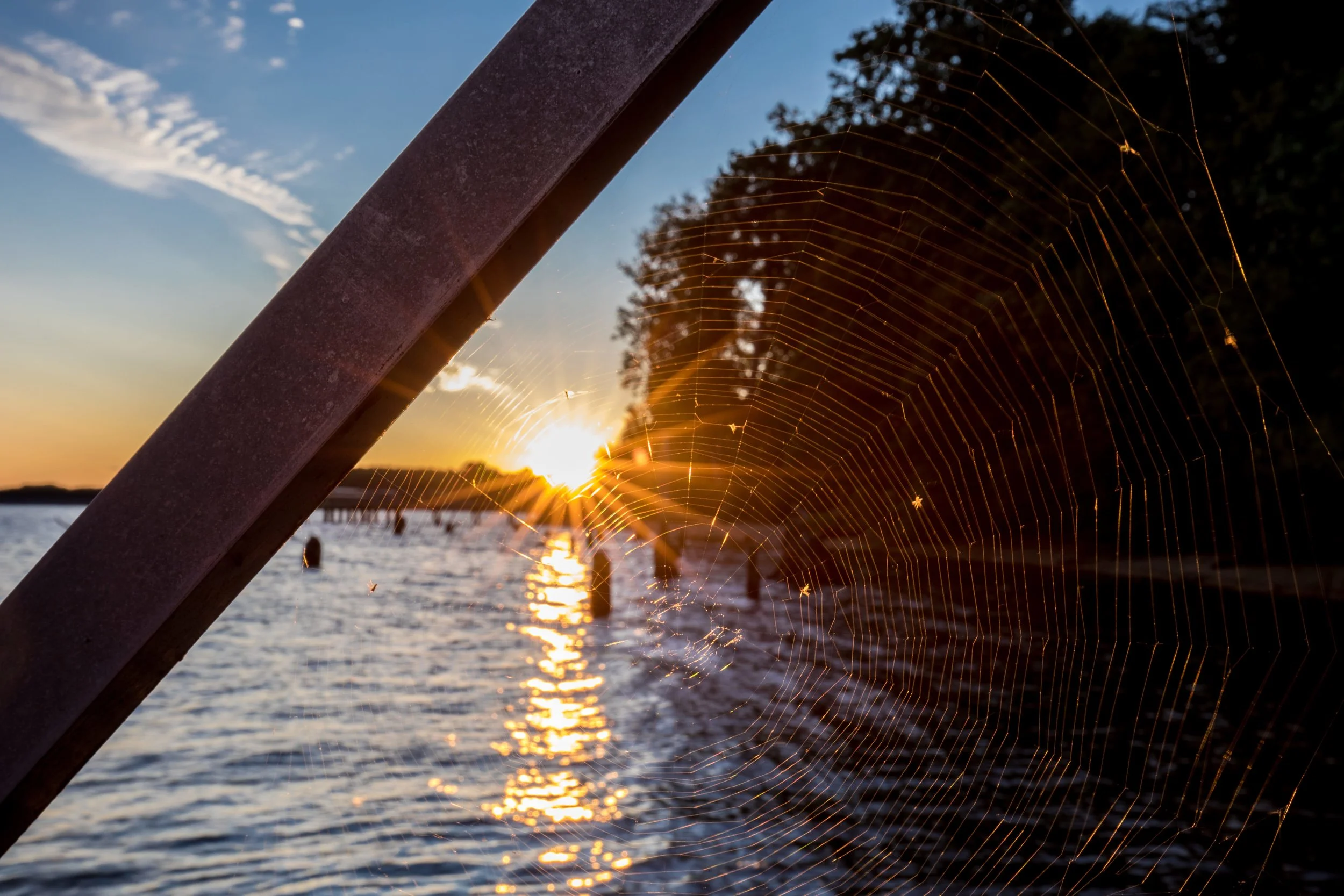 2017-09-01 06.37.18 35.jpg