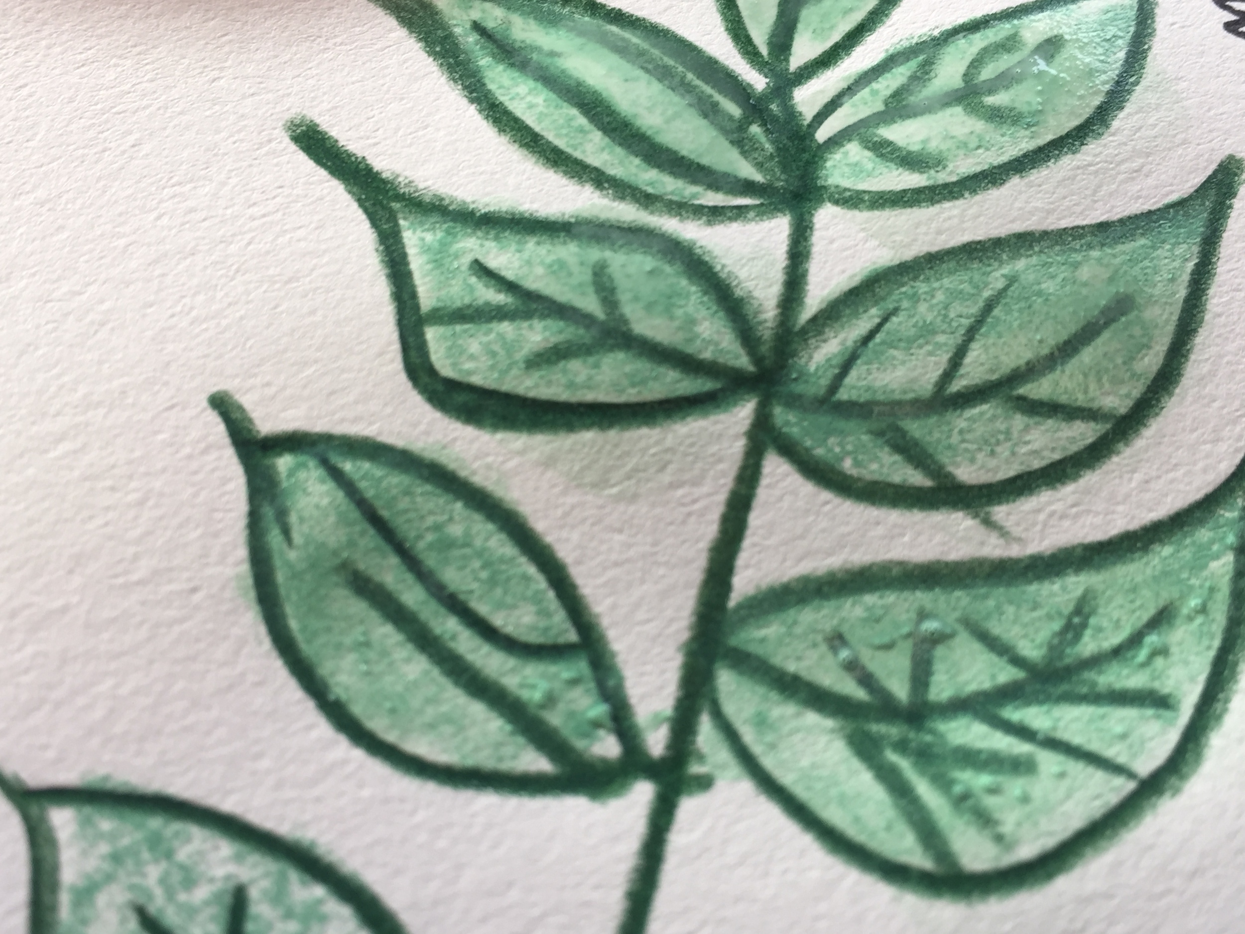 leaf paint 4.jpg