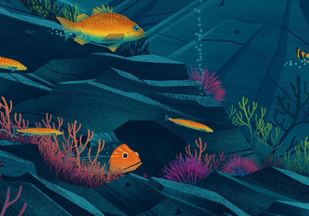 BEMOCS_NHM_Seamobile_Detail_2.jpg