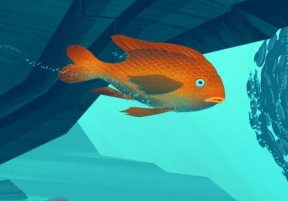 BEMOCS_NHM_Seamobile_Detail_3.jpg
