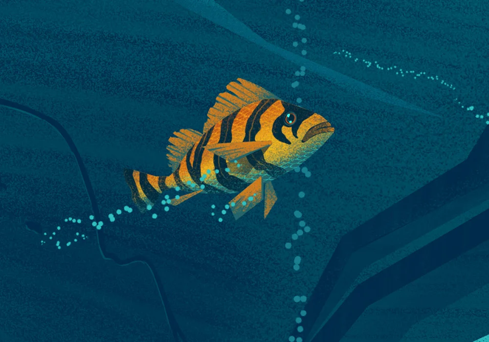 BEMOCS_NHM_Seamobile_Detail_4.jpg