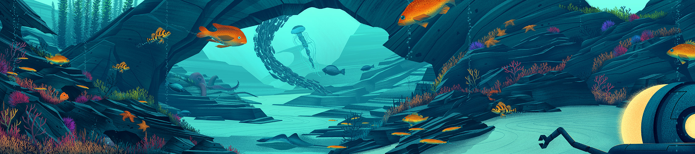 NHM · Seamobile Illustration