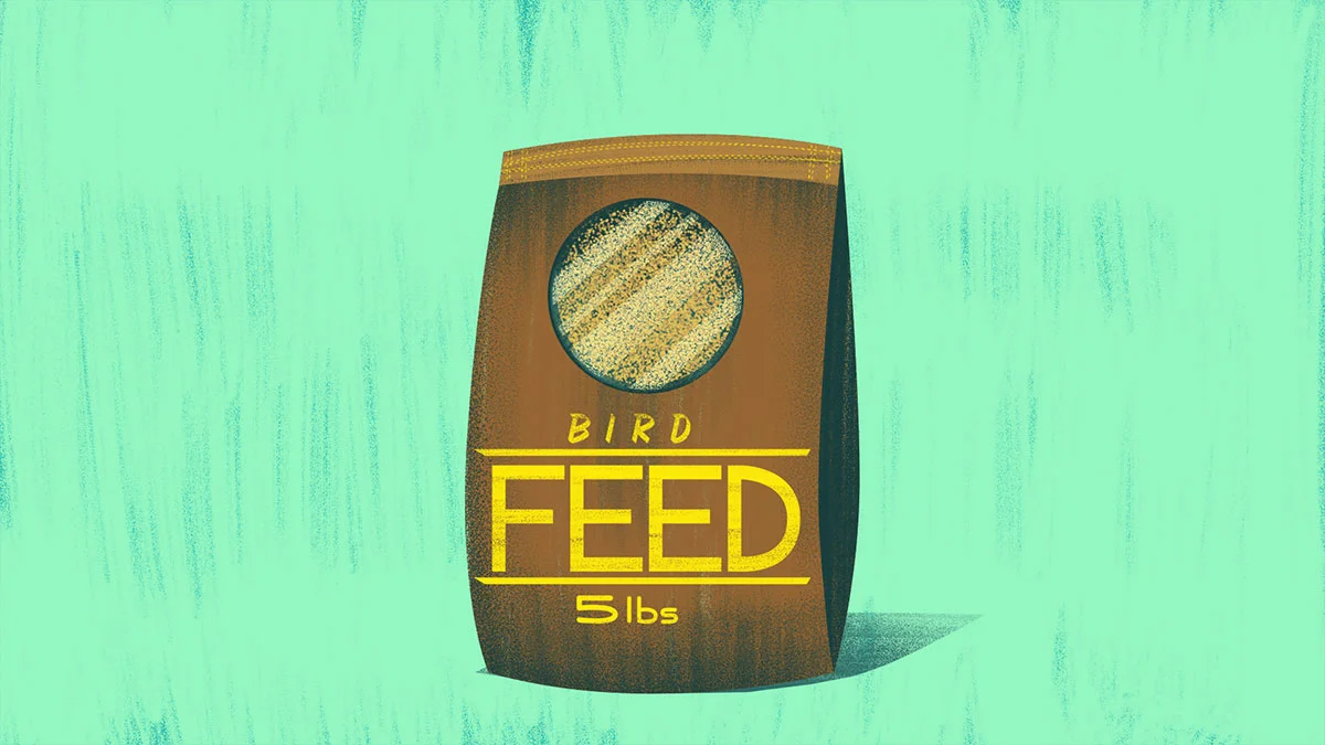 1075_VS_Set_9_Bird_Seed.jpg