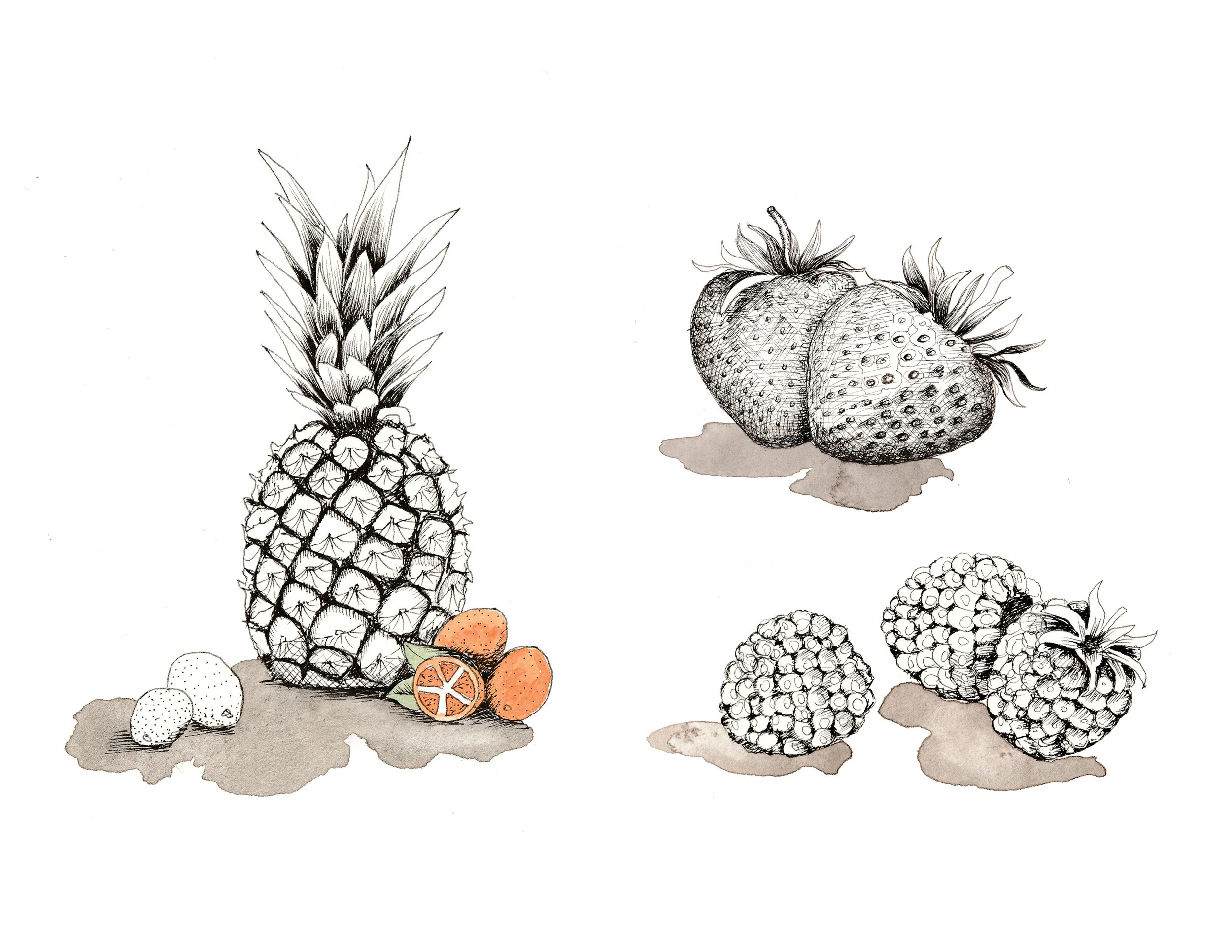 Fruit-drawings.jpg