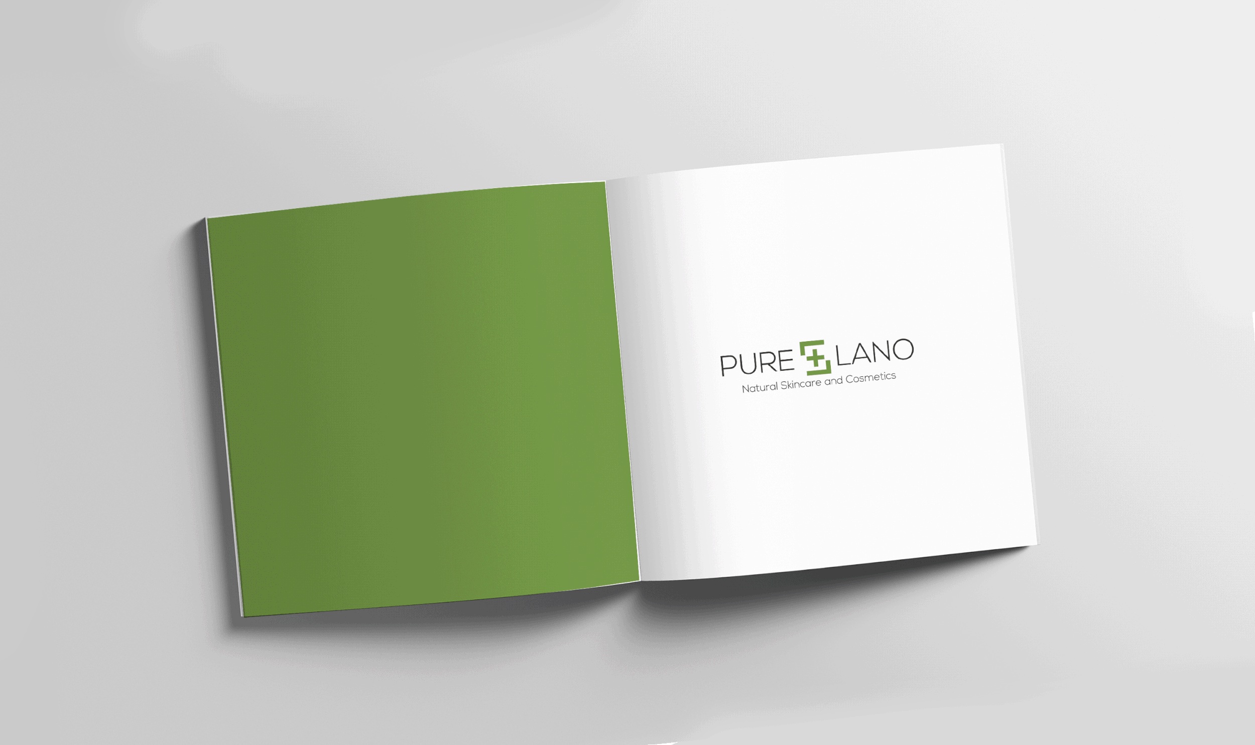 Lano1.gif