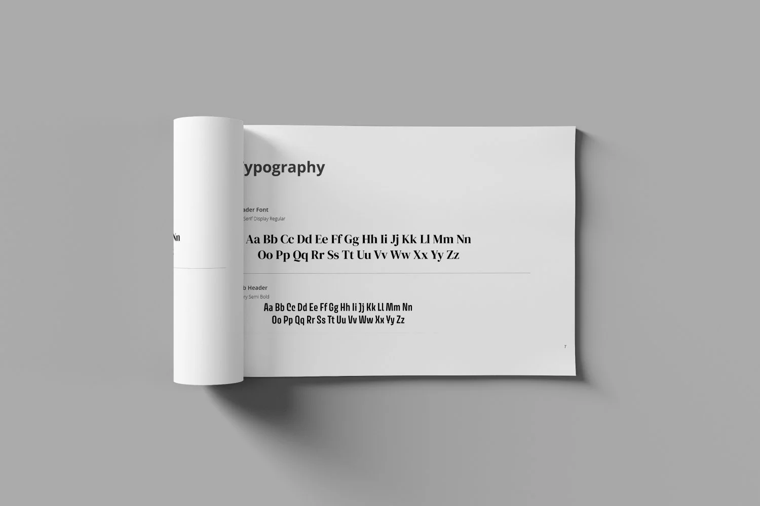 Community Foundation of Teton Valley Non-Profit brand identity typography
