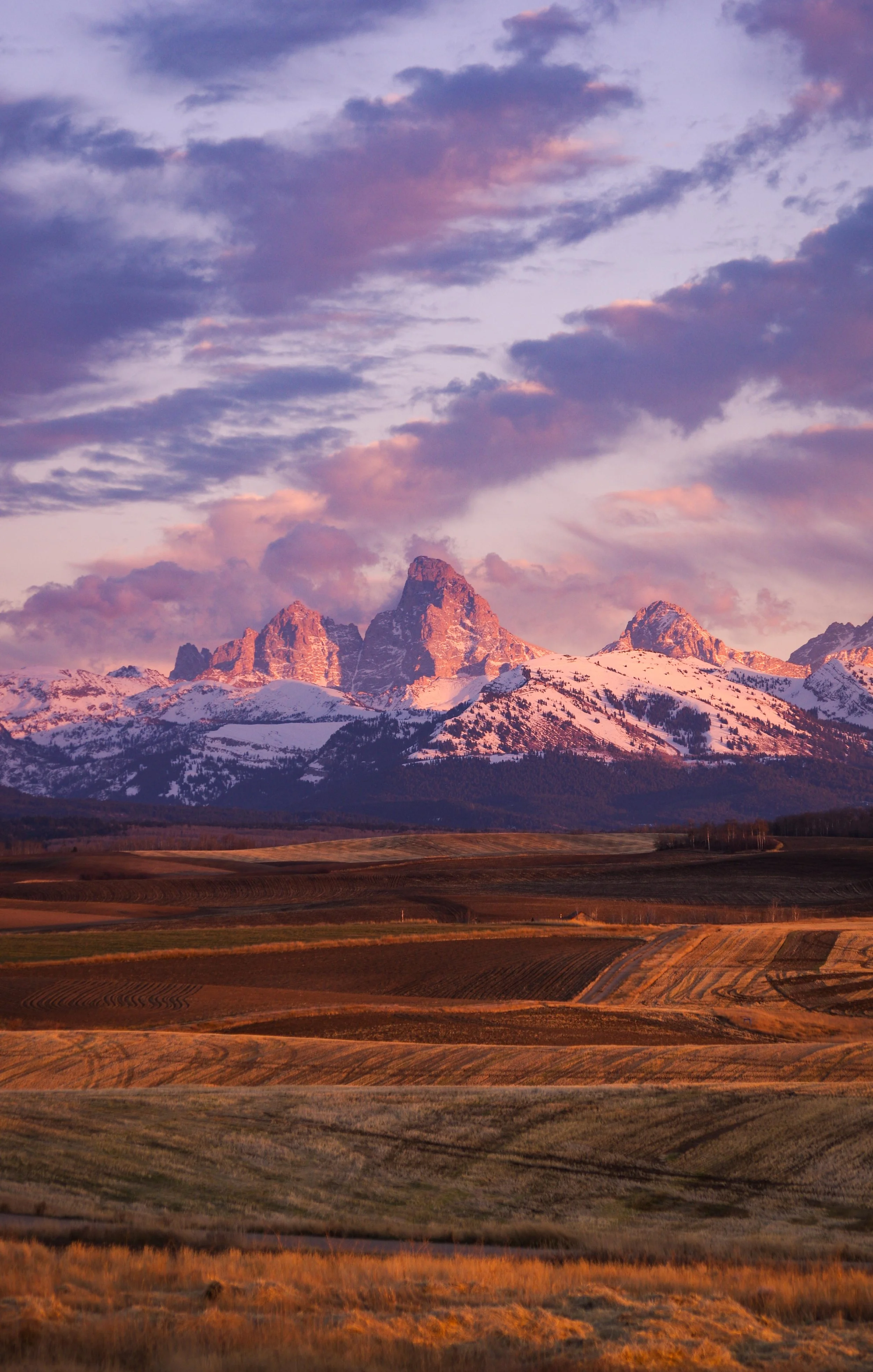 tetons