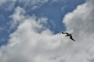 DSC_8310.JPG