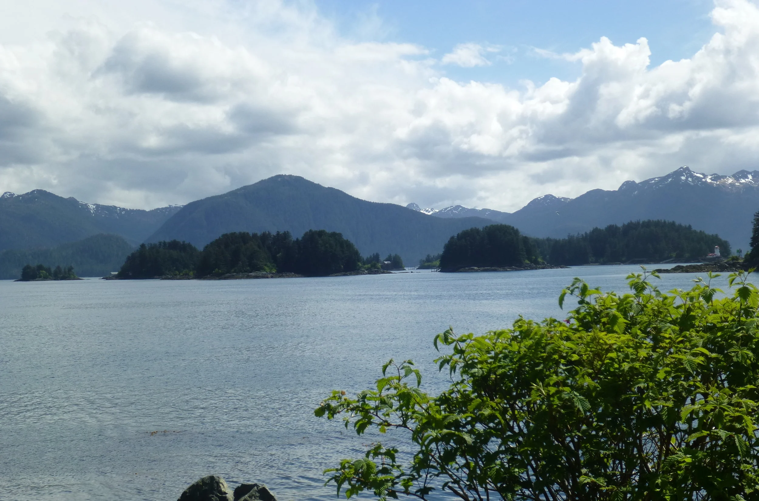 P1010524.jpg