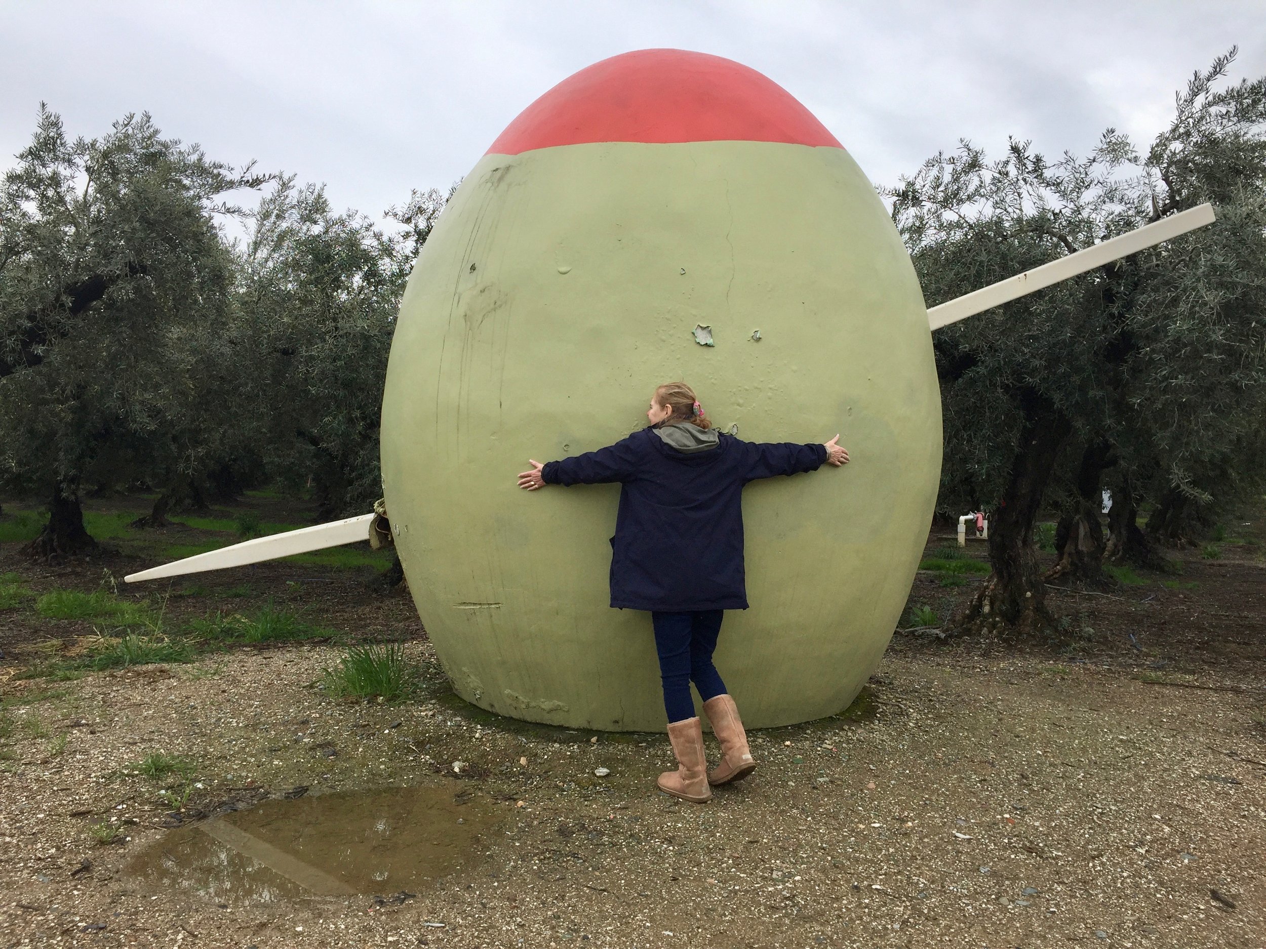 Cousin Kay hugs an olive.