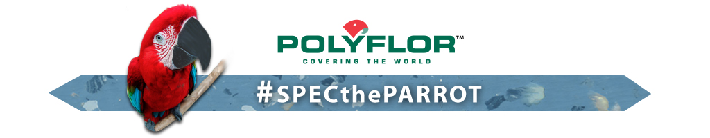 spec.jpg