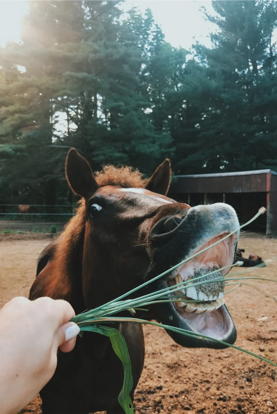 vsco_070417.jpg
