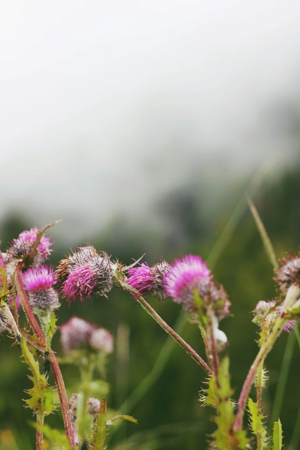vsco_071316-1.jpg