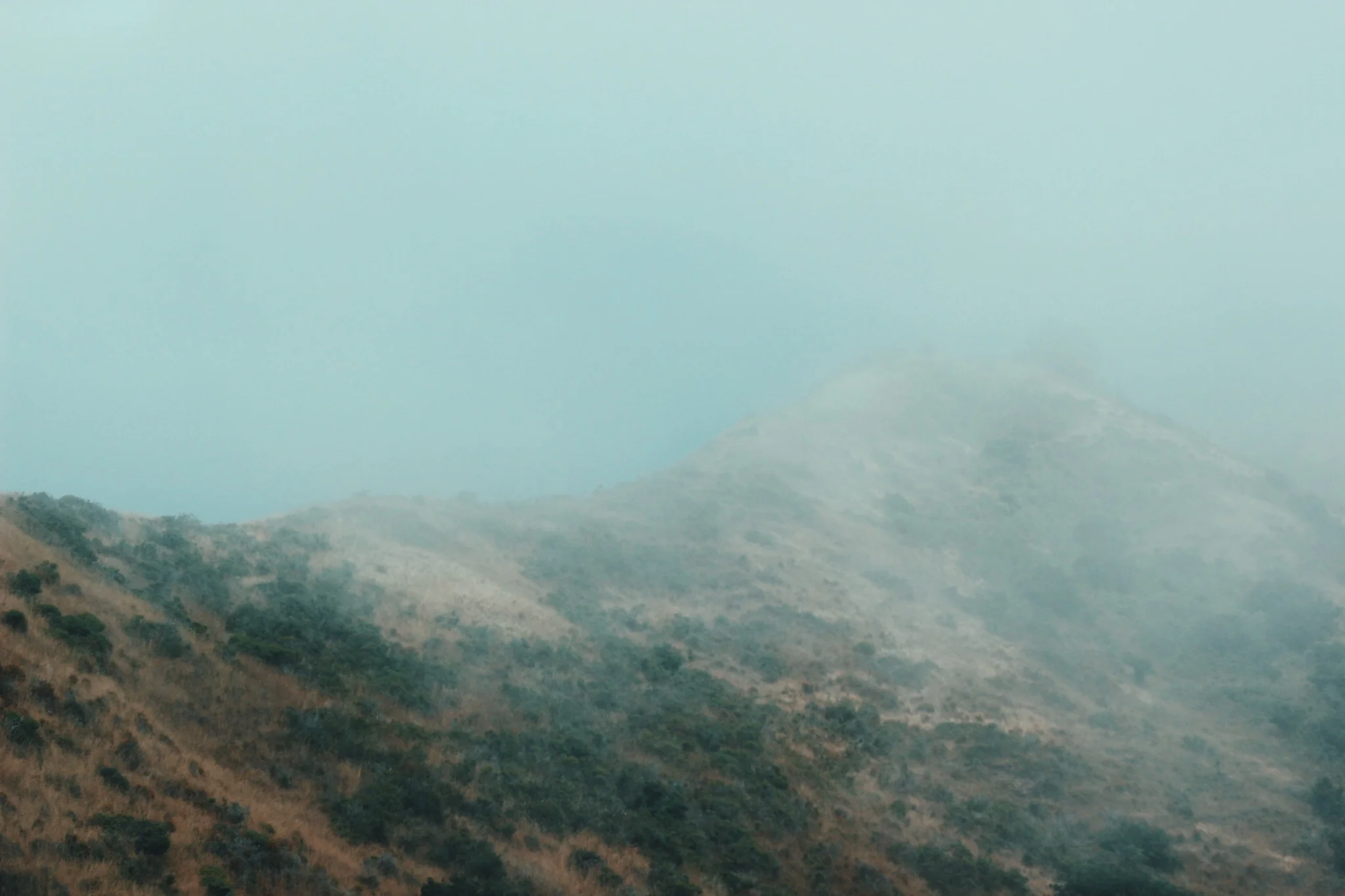 vsco_071316.jpg