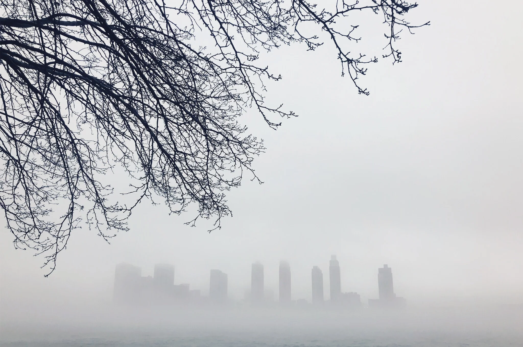 vsco5a5d531153d4c.jpg