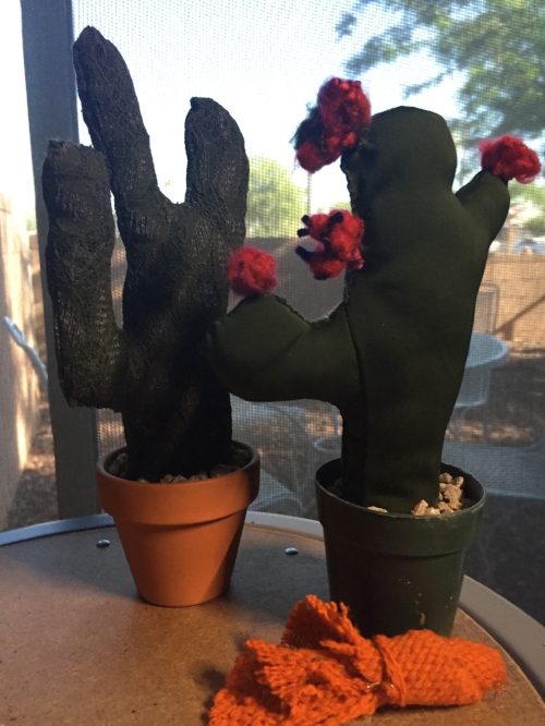 cacti.JPG