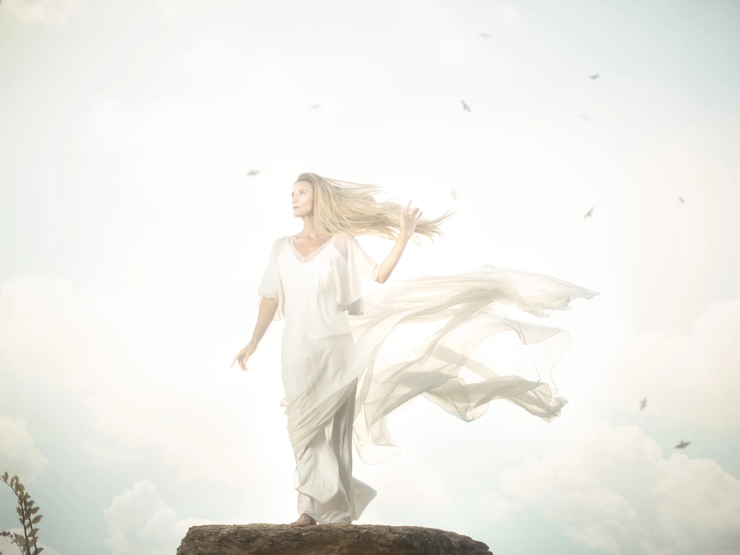 Wow. The Power of Wind She lifts her hand and the birds cast flight. The operators of the heavens arise. From sea breeze gusts to hurricane power, this element will always circulate power. Arise and honor her strength, for she is the one who catches your dreams. 