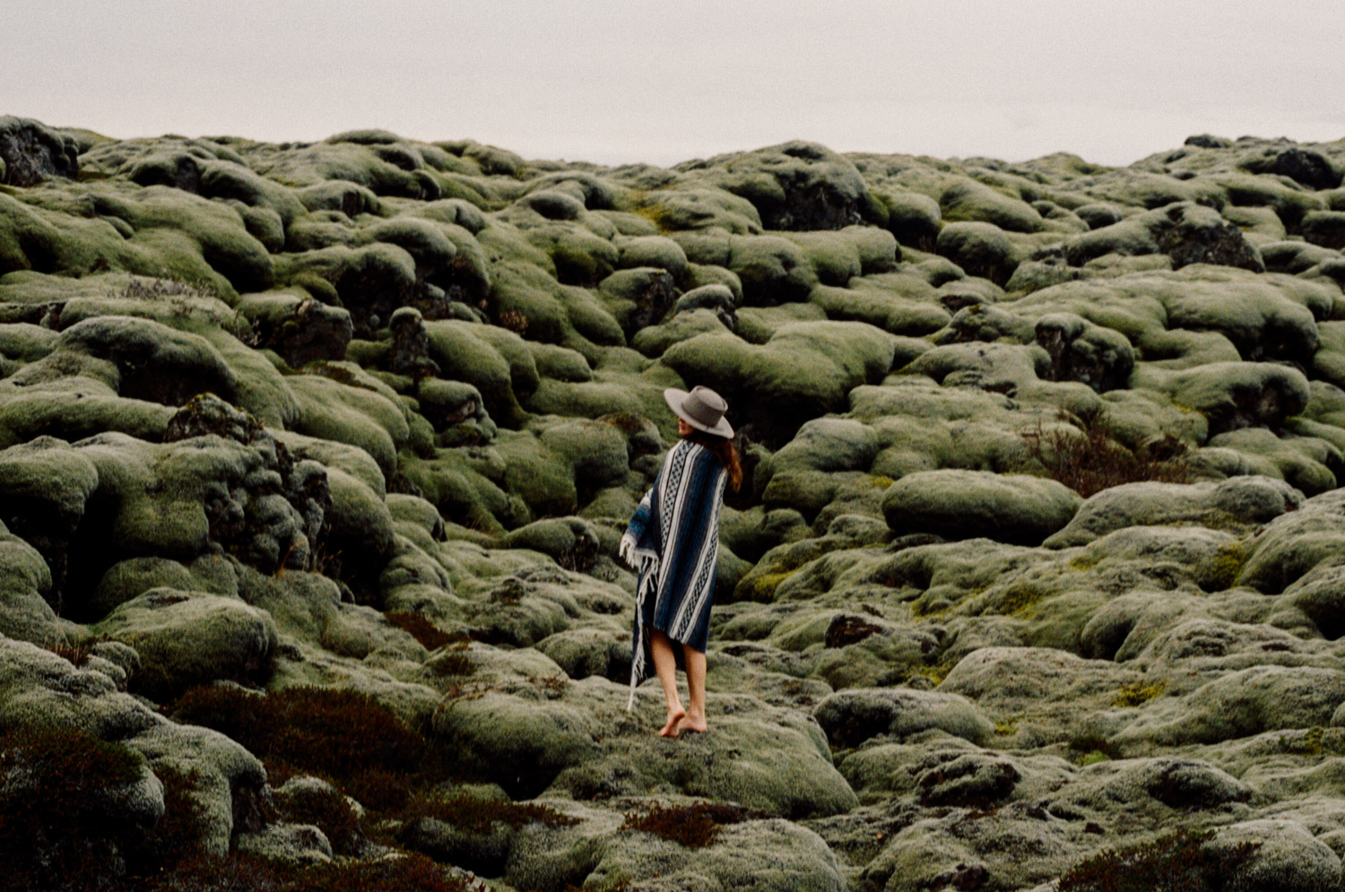 image by Emily Coey