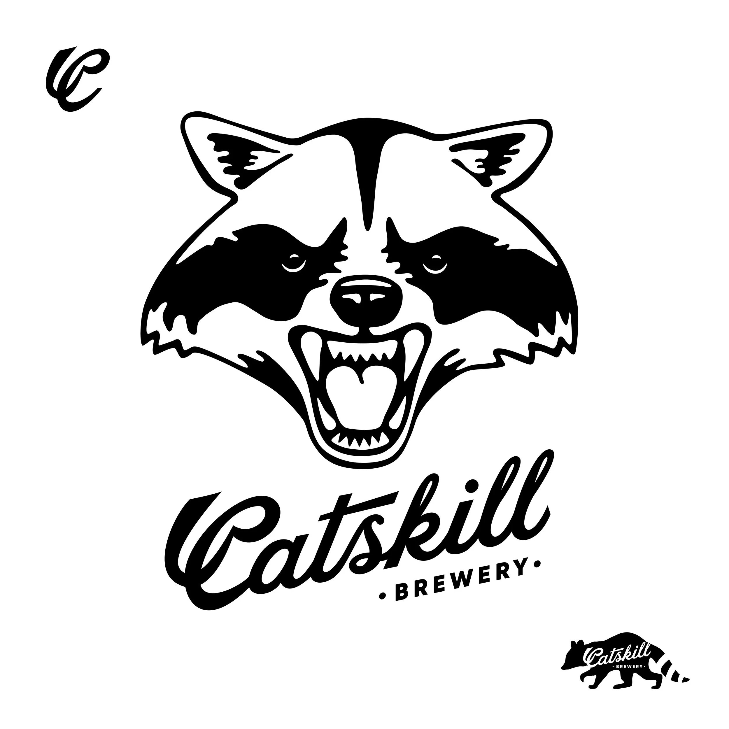 CatskillID_boards.jpg