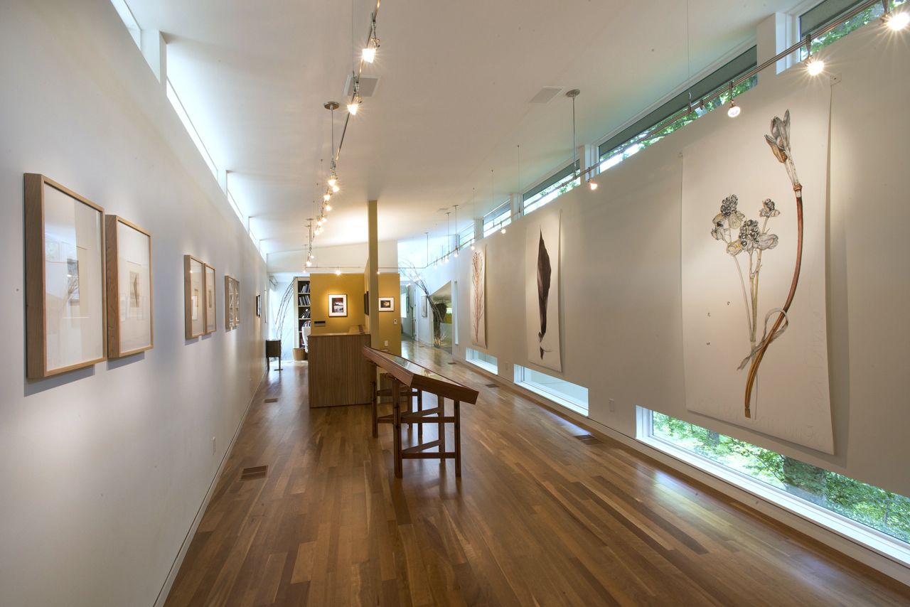 Lifelines: Ippy Patterson 2014 READ MORE on the Cassilhaus blog