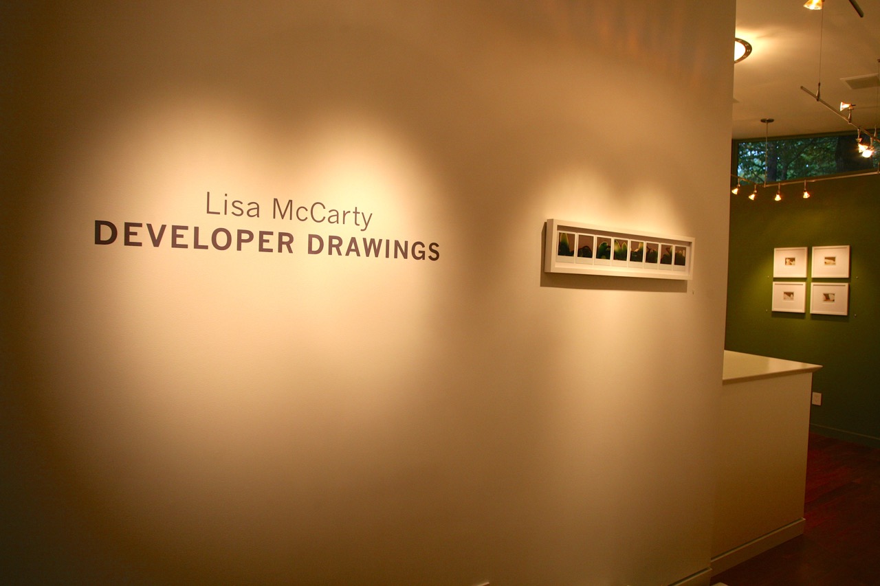 Lisa McCarty: Developer Drawings 2015 Lisa McCarty