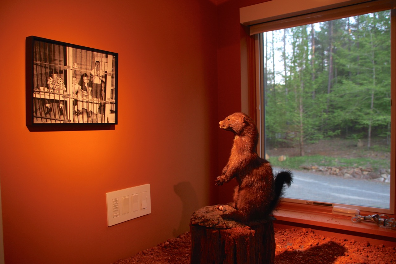 Love Valley: Michaela O'Brien 2016 READ MORE on the Cassilhaus blog
