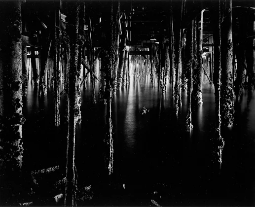 Bullock_Under_Monterey_Wharf_1969_3295_.jpg