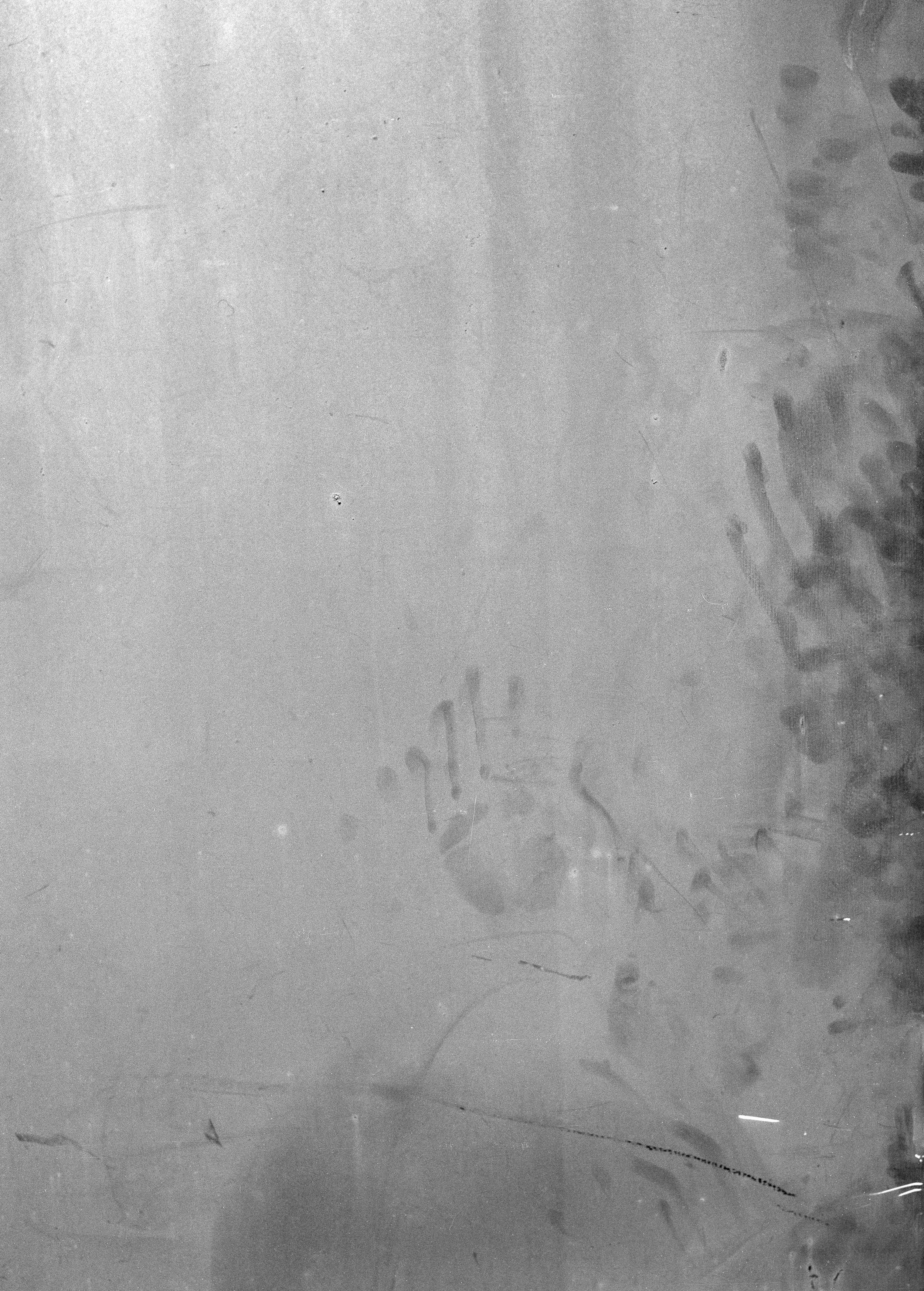 Imprint, Natasha Lehner (2019)