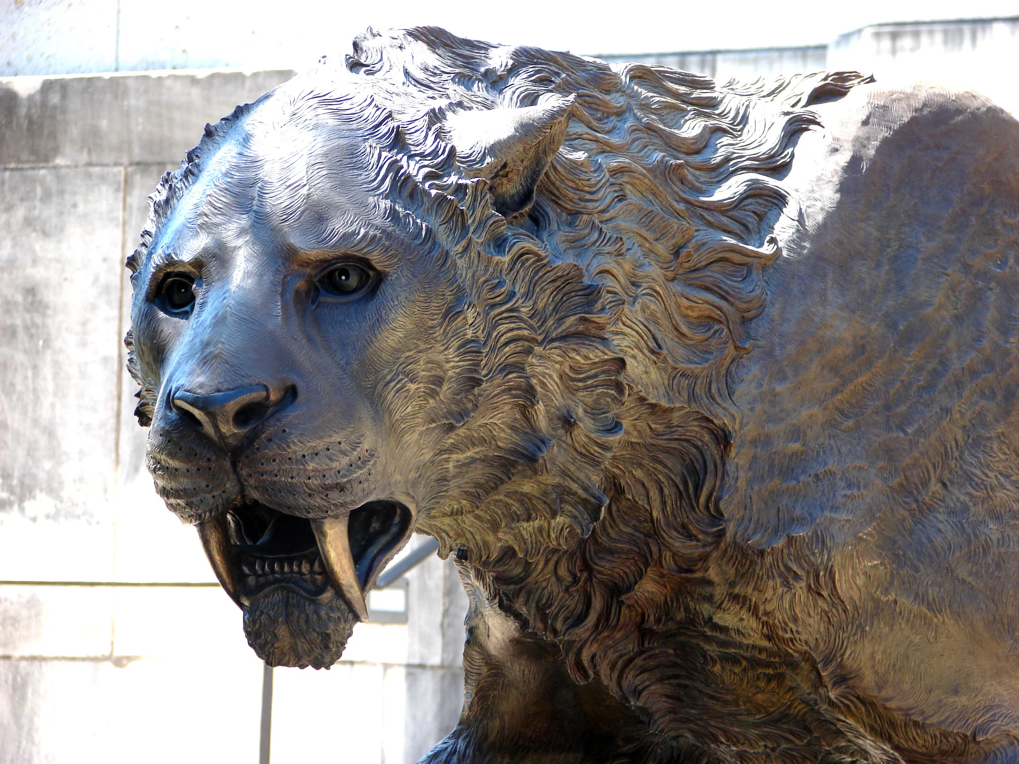 bronze-saber-cat-sculpture-john-maisano.jpg