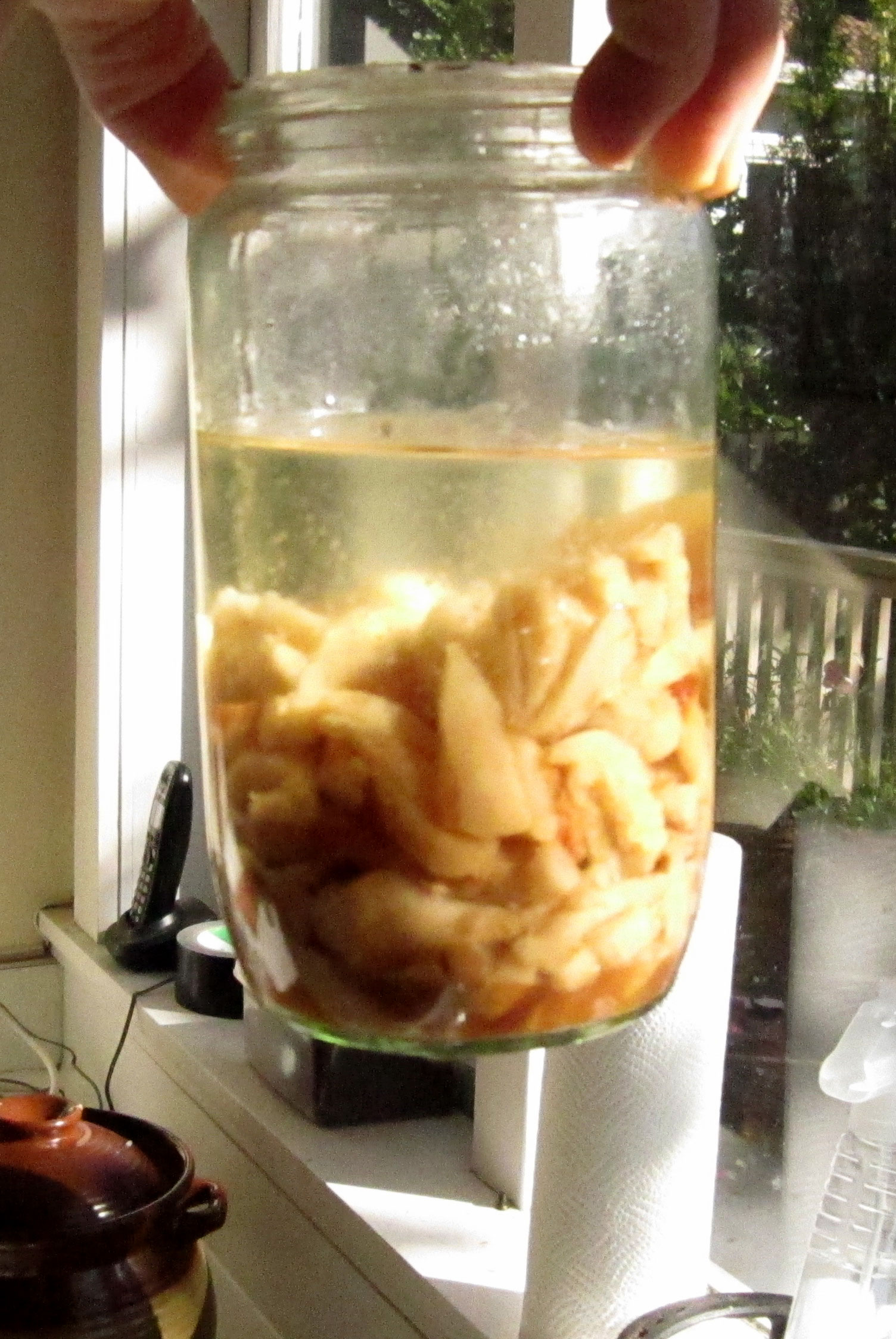 Pressure cooked lard the next day