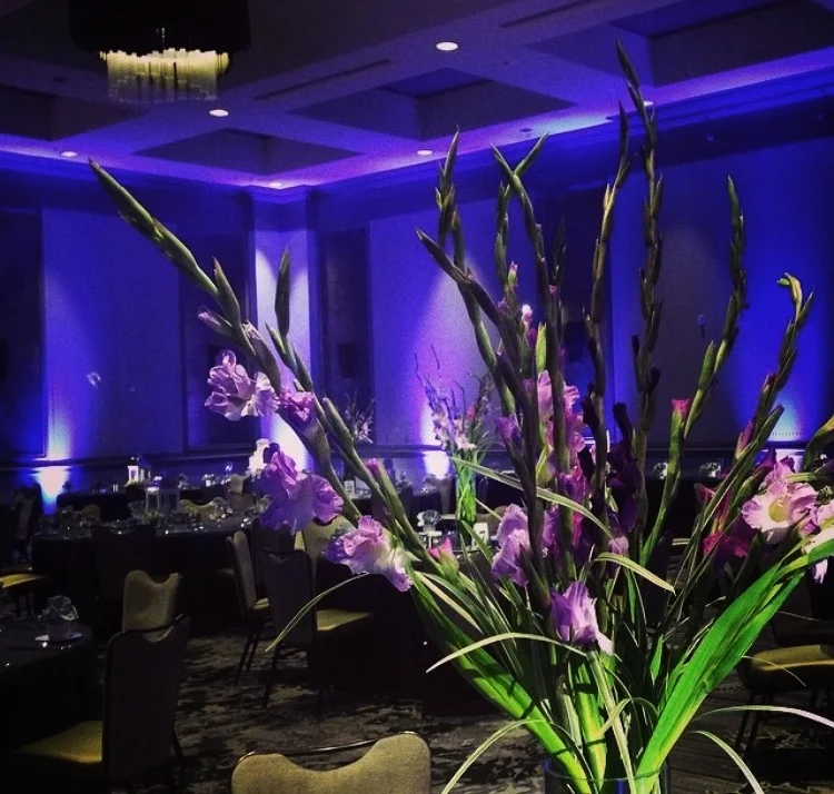Nashville Event Lighting