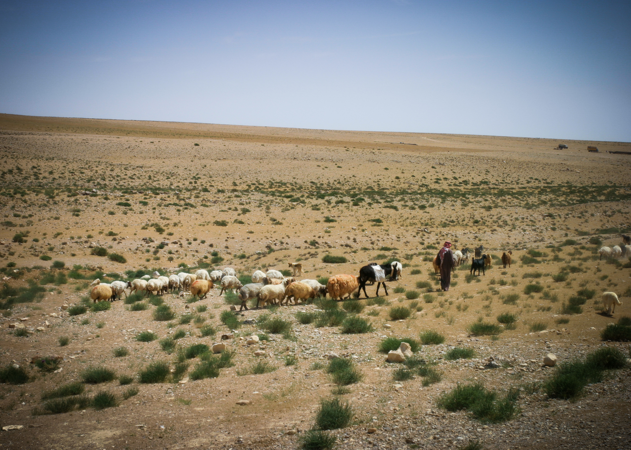 Filmmaker_Andrew_Hunt_in_Jordan-1.jpg