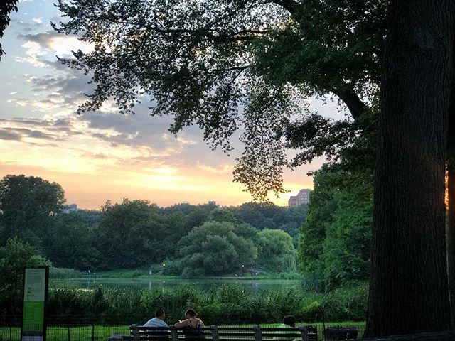 Late summer, NYC, pt 2
#nofilter