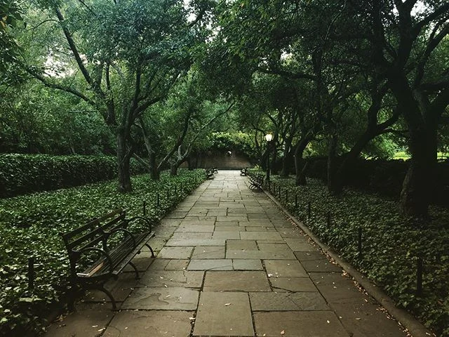 Late summer, NYC