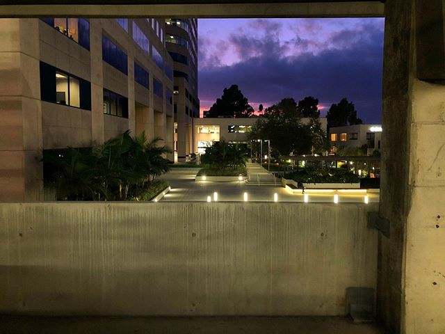 Pretty view from ugly office