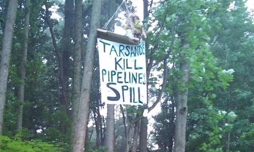 Jessica tree-sitting in protest of tar sands pipeline expansion in 2013. Photo Credit: MI CATS