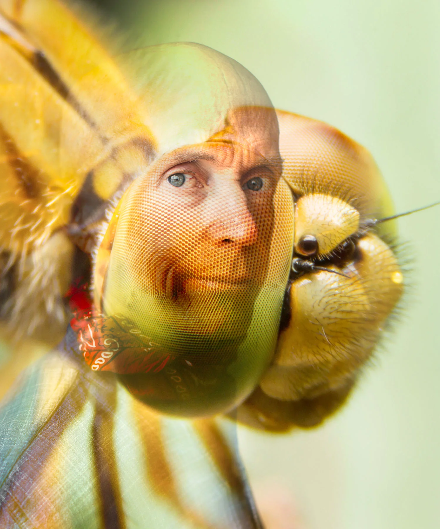 Mike and a Dragonfly