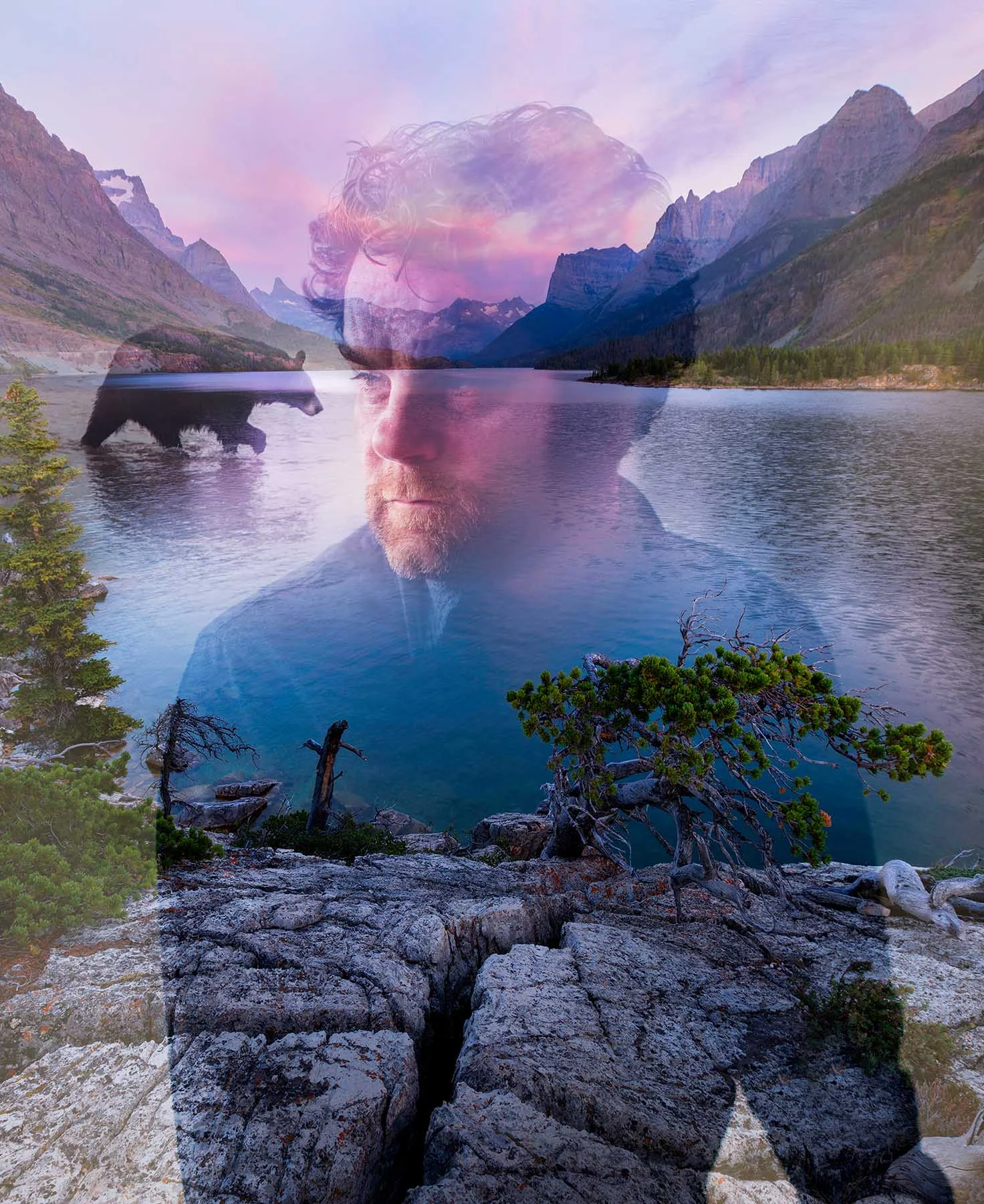 Mark, a black bear, St. Mary's Lake - Glacier National Park
