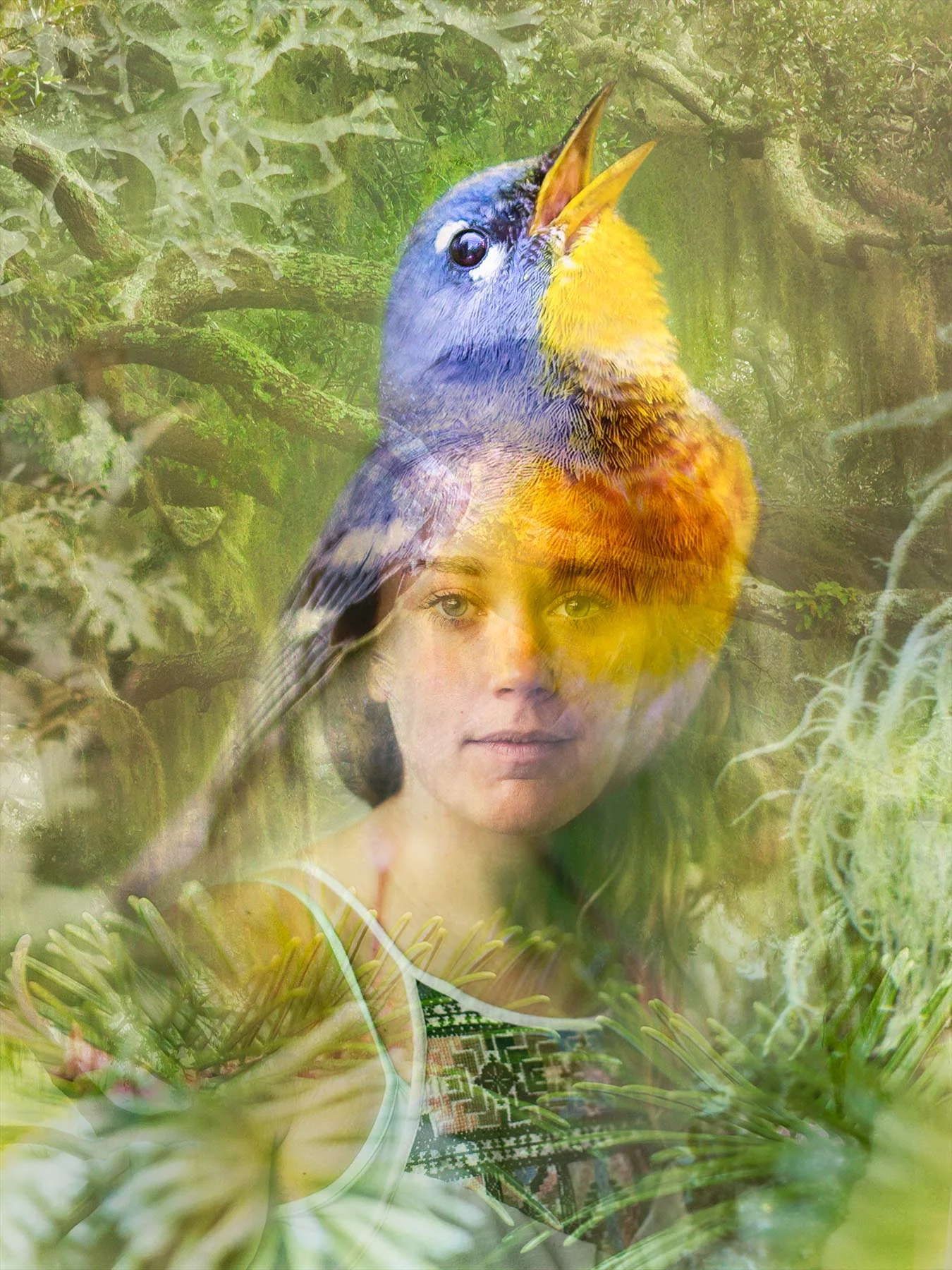 Alexandra Munters and a Northern Parula - In both southern and northern habitat